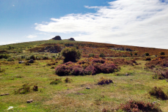 Haytor from a Distance