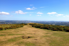 Dartmoor