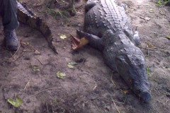 Turned to See Another!