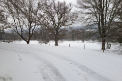 Winter Park
