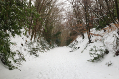 Winter Park