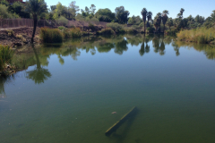 Phoenix Zoo
