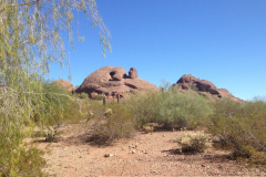 Phoenix Zoo