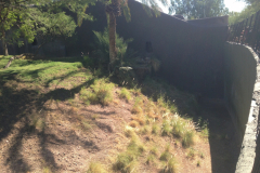 Phoenix Zoo